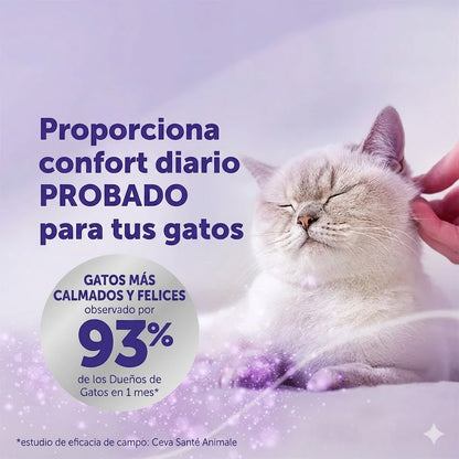 Lociena Optimum Recarga