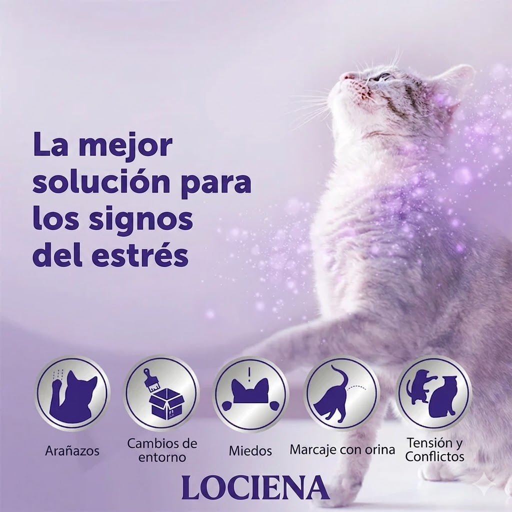 Lociena Optimum Recarga
